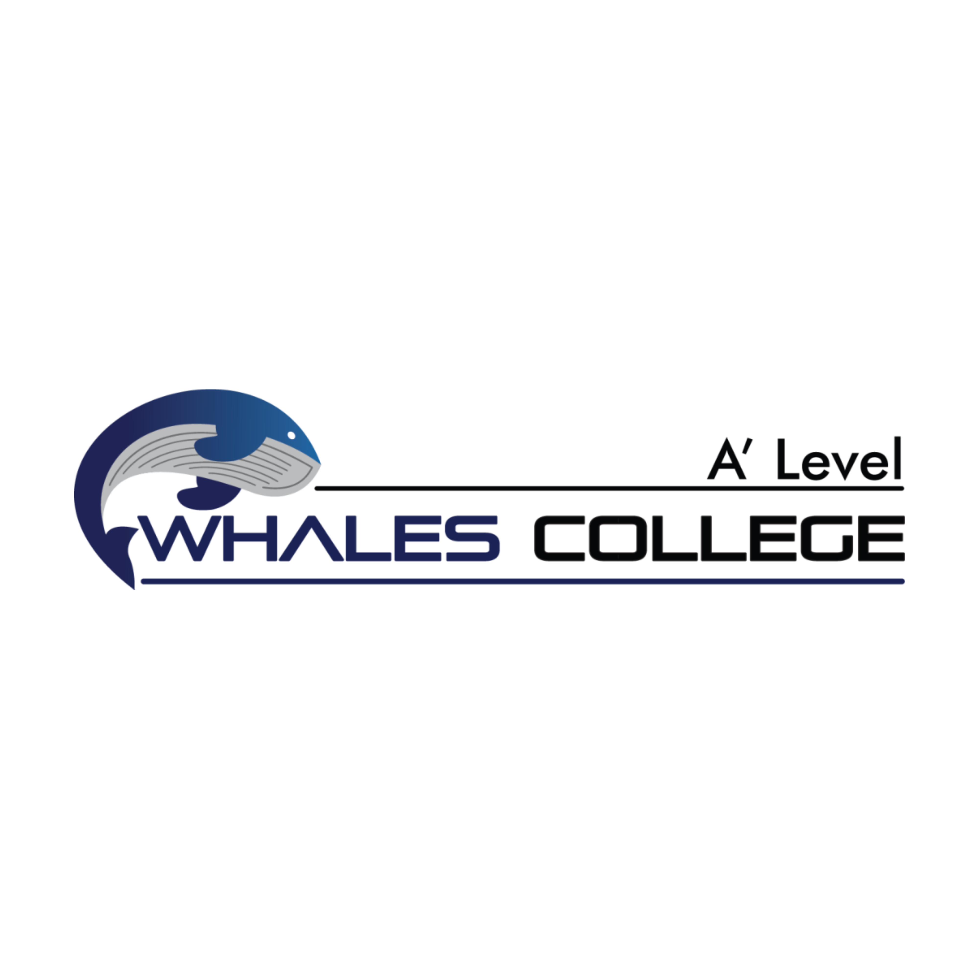 Affiliation Logo 11